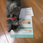 りんの健康保険証