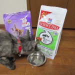 キャットフードとブランケット