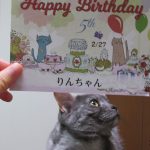 りん5歳おめでとう(^▽^)/