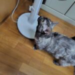 約5年ぶりに更新